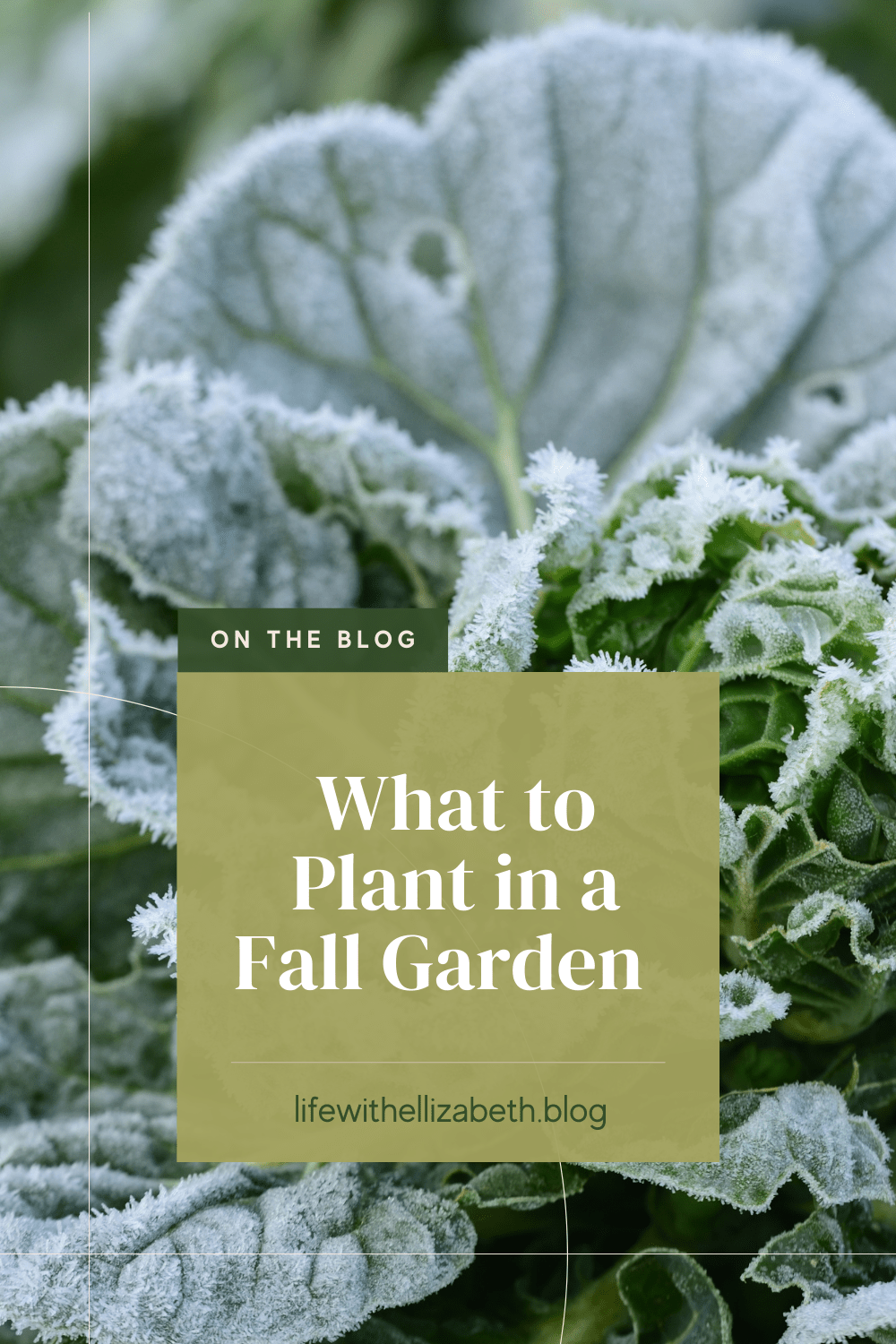 What To Plant For a Fall&nbsp;Garden